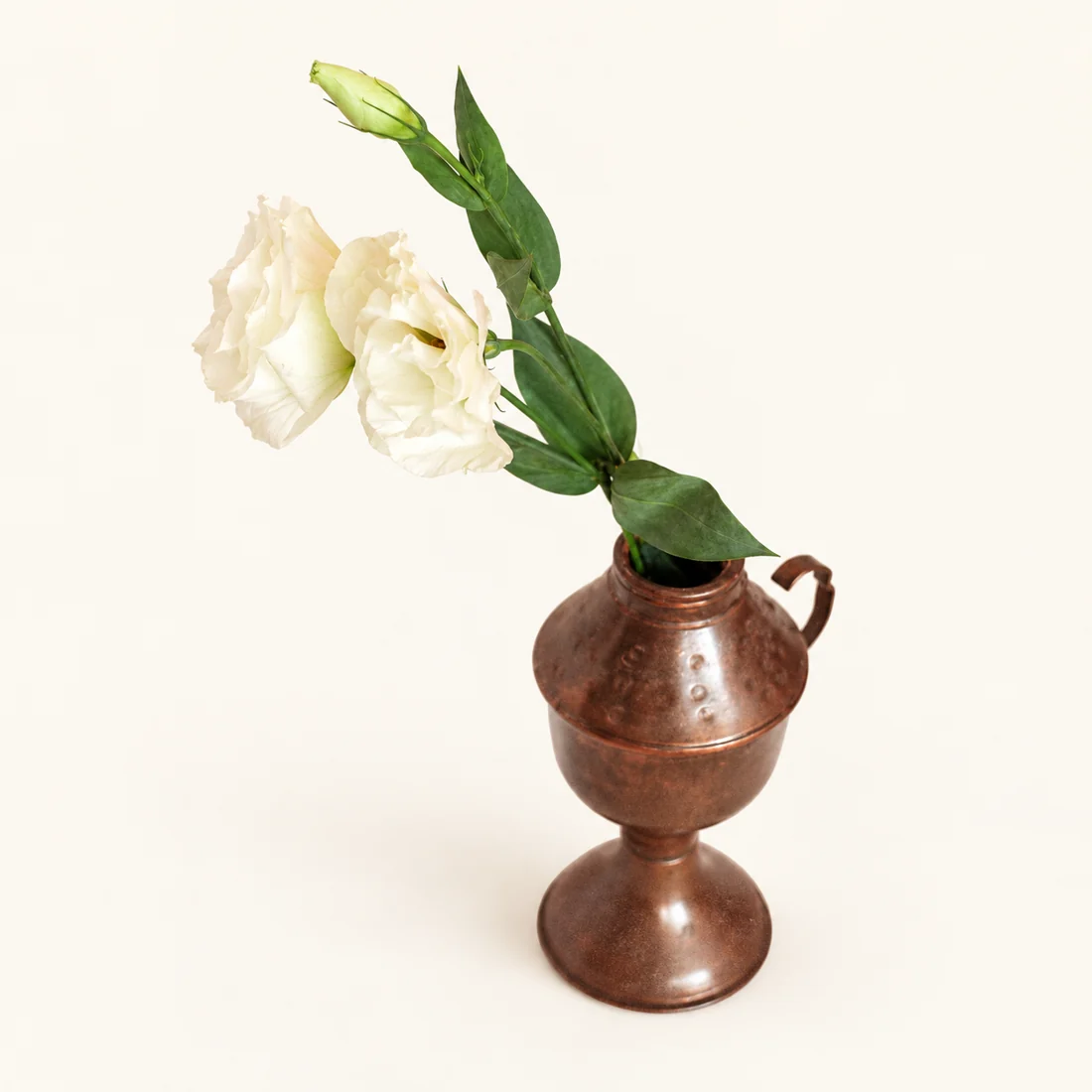 Rose reference image