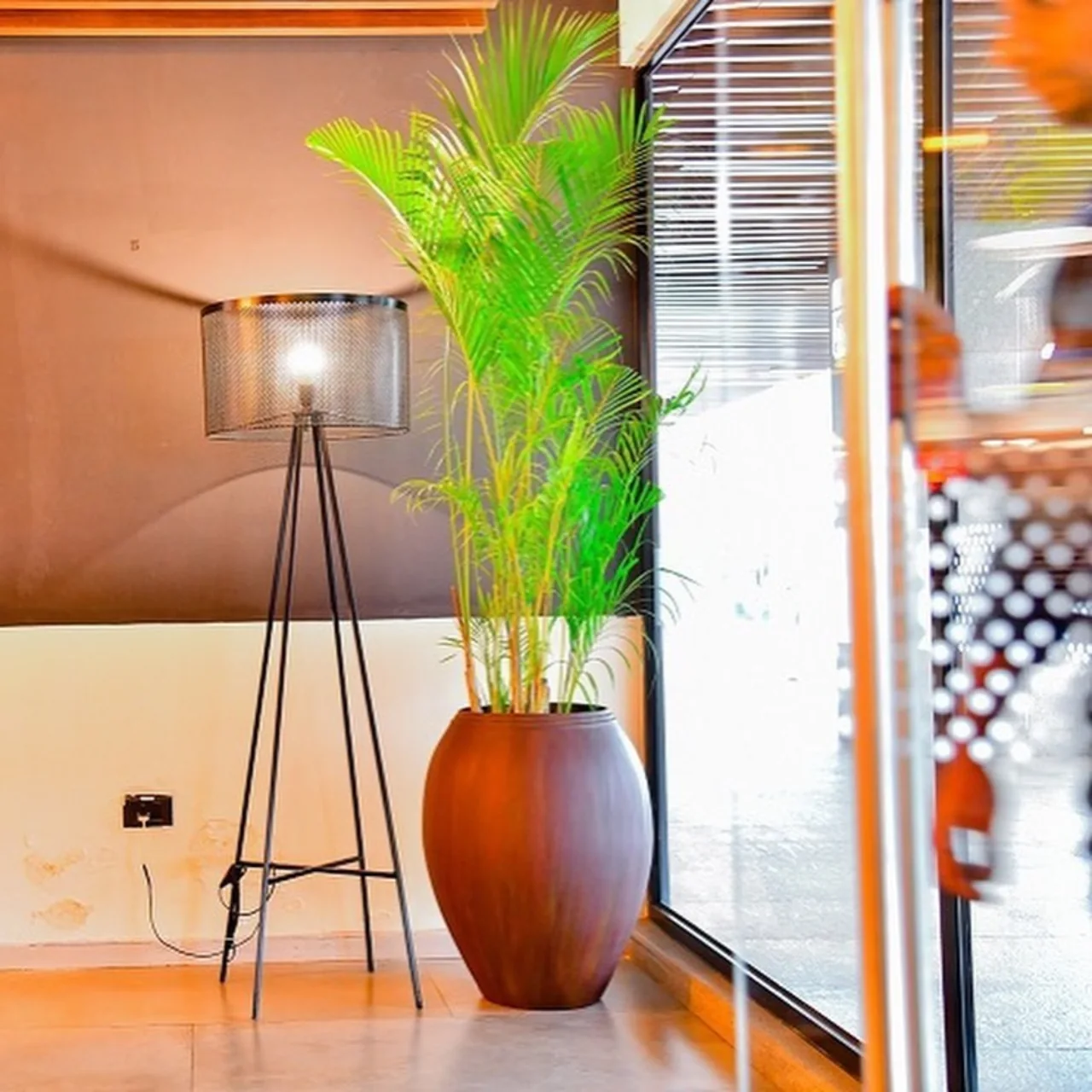 A bright green palm in a warm brown floor planter beside lounge seating.