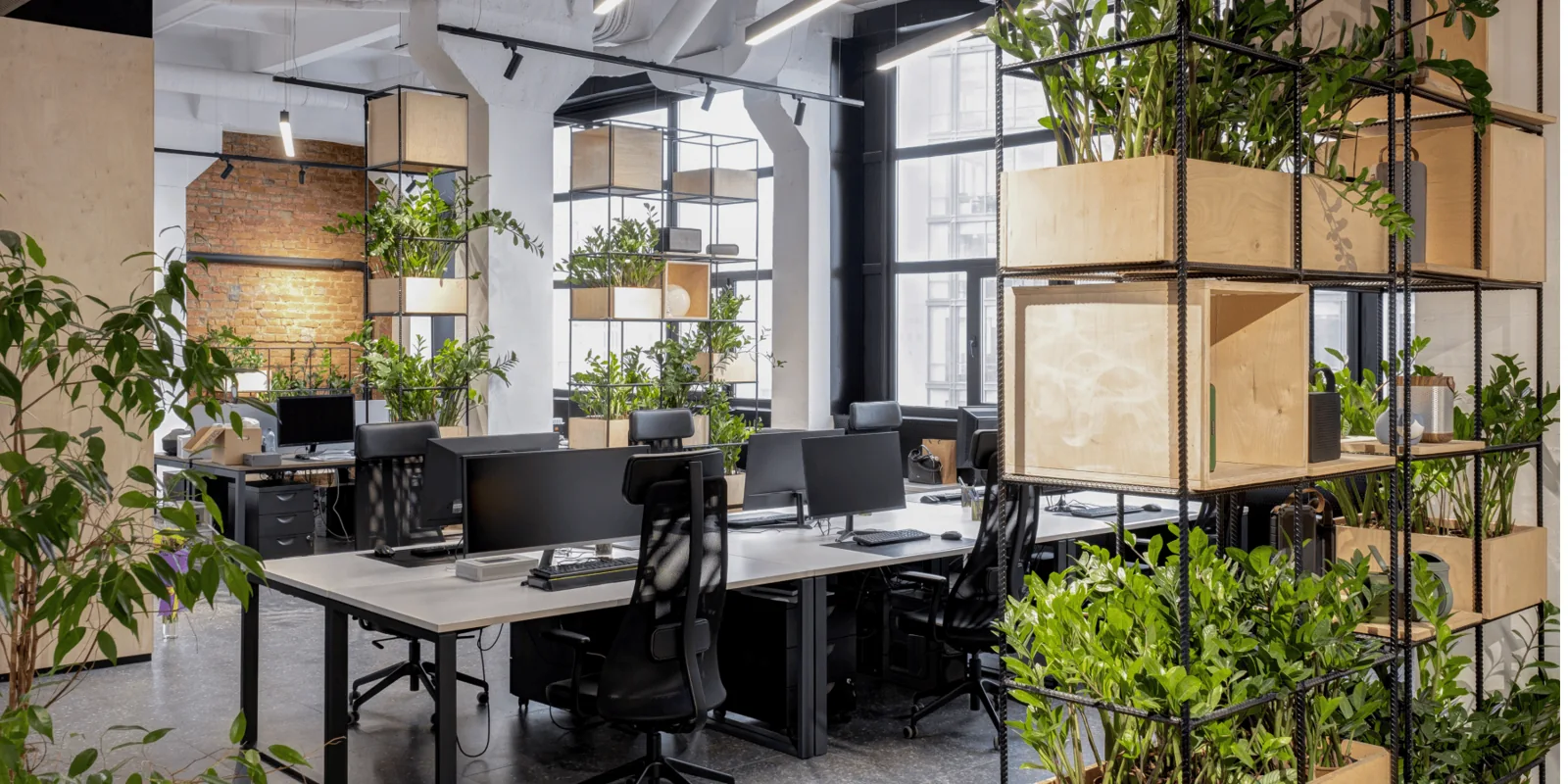 A bright open office framed by black metal and wooden plant dividers.