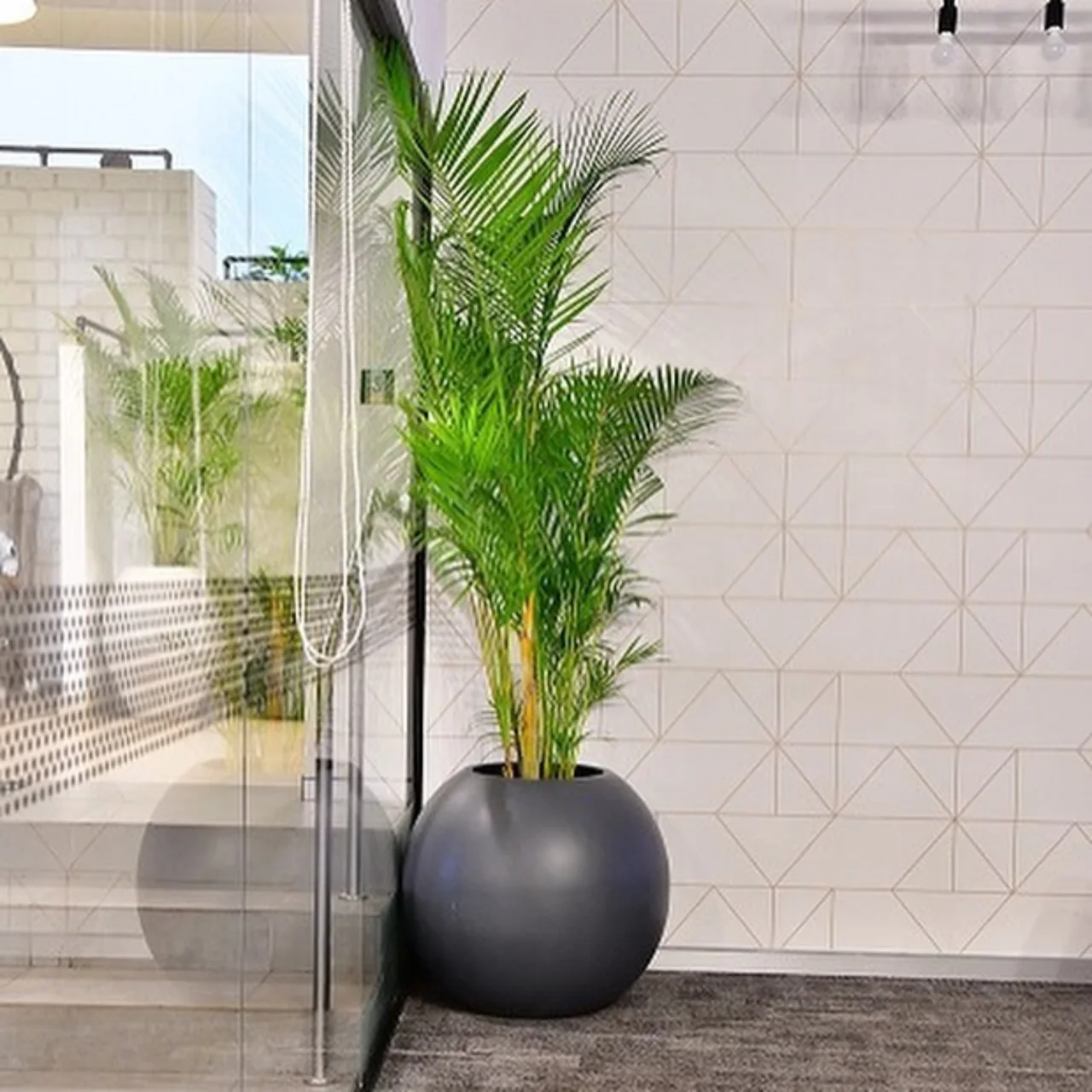 A full palm in a round charcoal planter brings greenery to a bright office corner.