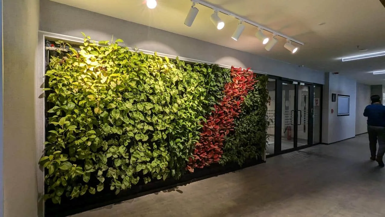 A broad multicoloured living wall brings greenery to an indoor circulation space.