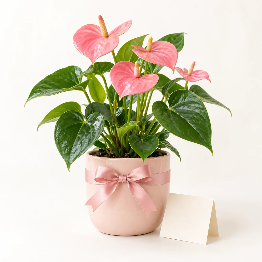 Birthday Gifts reference image