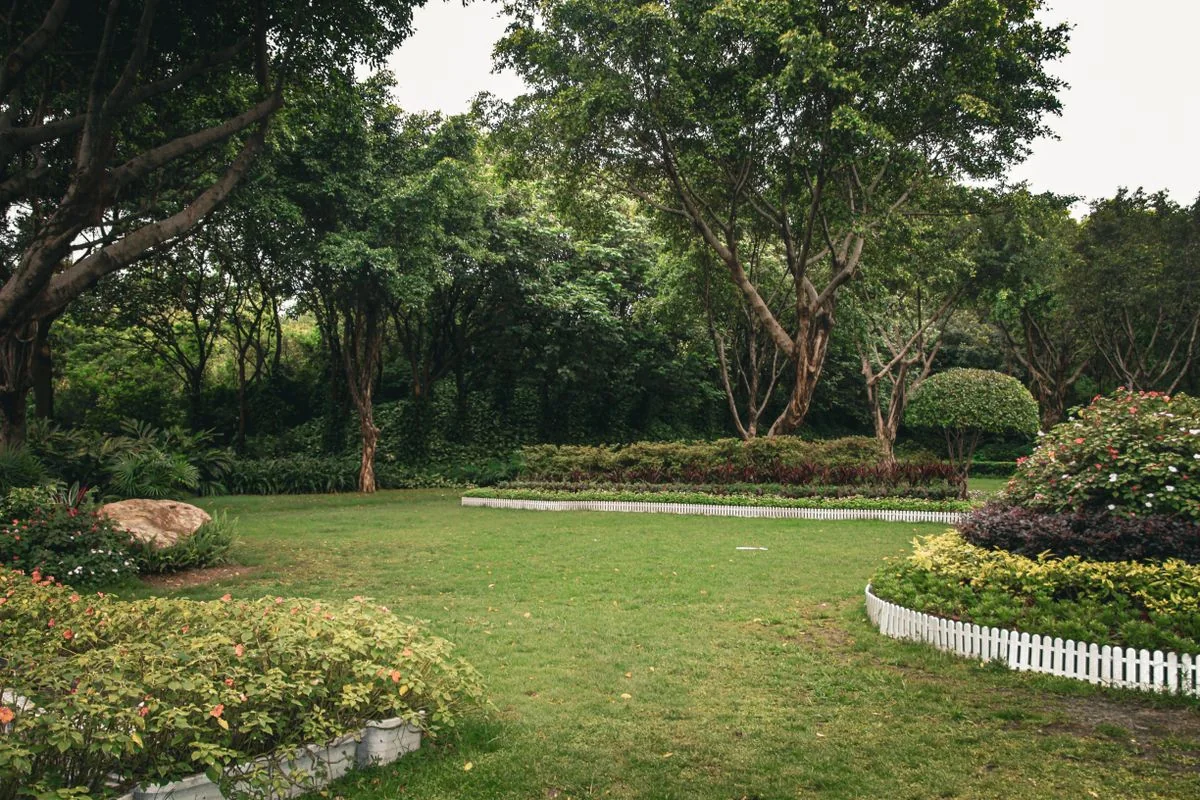 Green lawn with planted borders and a garden path
